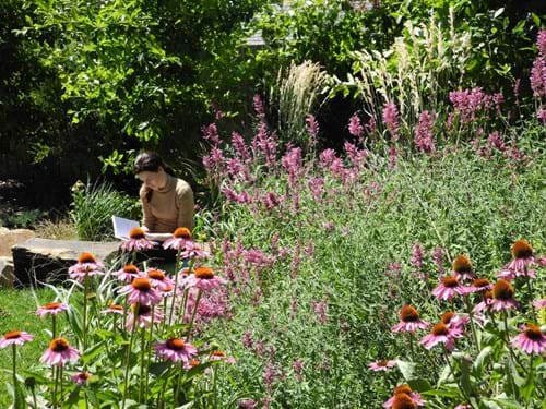 Expert plant selection Landscape Design Melbourne | Sandra McMahon Gardenscape Design