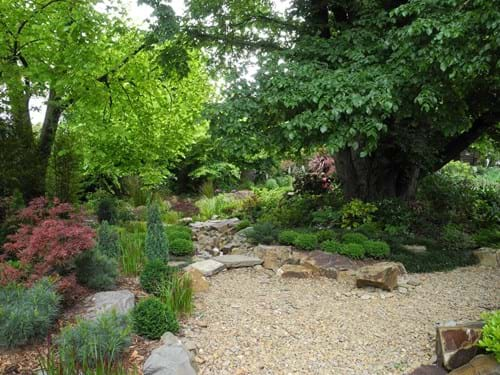 Japanese Landscape Design Melbourne | Sandra McMahon Gardenscape Design