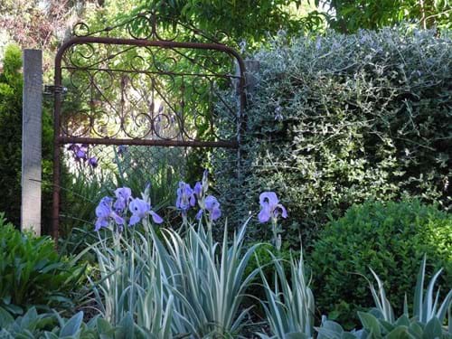 Landscape Design Melbourne | Sandra McMahon Gardenscape Design | Evocative use of recycled artefacts suggests a 'past' in a garden. Combinations of silver and white foliage provides an element of unity in these plantings.