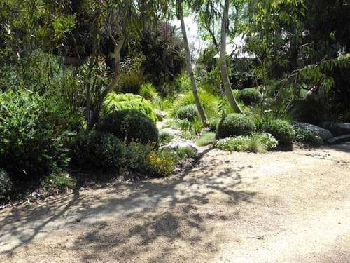 Australian Native Landscape design  | Sandra McMahon Gardenscape Design: native garden design inspired by Victorian High Country landscapes