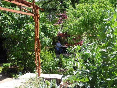 Landscape design Melbourne | Sandra McMahon Gardenscape Design | A garden is a place of escape: elements of mystery and surprise are essential.