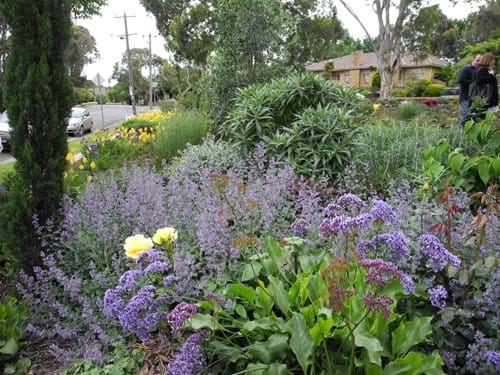 Landscape designers Melbourne |  Sandra McMahon Gardenscape Design | Plants of the Mediterranean flourish on this site.
