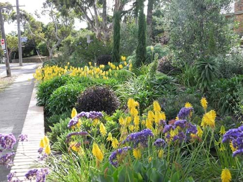 Award-winning Landscape design Melbourne | Sandra McMahon Gardenscape design | Texture and colour unify this satisfying planting. Hard-edged forms are balanced by softer flowing drifts: a cycle which repeats itself from year to year.