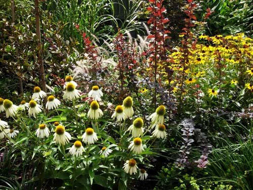 Beautiful garden design | Sandra McMahon Gardenscape Design
