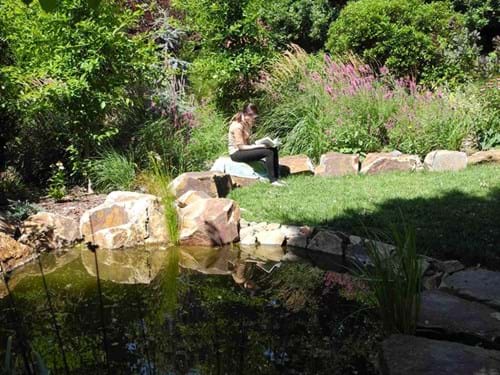 Woodland garden design Melbourne | Sandra McMahon Gardenscape Design